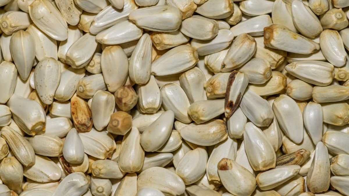 A textured close-up of raw garlic cloves creating a natural, abundant wallpaper effect.